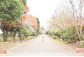 【公園】はなみずき公園　約550m