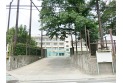 【小学校】練馬区立大泉第二小学校　約120m