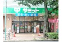 【スーパー】サミット大泉学園店　約740m