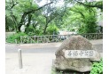 【公園】善福寺公園　約560m