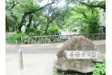 【公園】善福寺公園　約700m