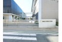 【小学校】練馬区立谷原小学校　約380m