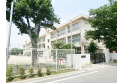【小学校】練馬区立関町小学校　約190m
