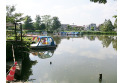 【公園】石神井公園　約100m