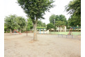 【公園】高野台中央公園　約450m
