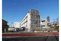 【小学校】練馬区立石神井小学校　約390m