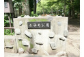 【公園】石神井公園　約250m