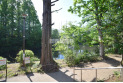 【公園】武蔵関公園　約580m