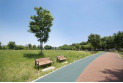 【公園】西東京いこいの森公園　約600m