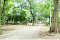 【公園】向台公園　約750m