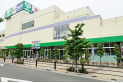 【スーパー】サミットストア向台町店　約550m