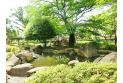 【公園】谷戸イチョウ公園　約400m