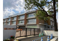 【小学校】練馬区立関町北小学校　約250m
