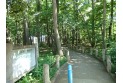 【公園】西原自然公園　約290m