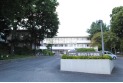 【病院】東京白十字病院　約400m