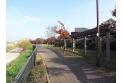 【公園】空堀川文化村公園　約350m