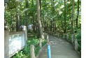 【公園】西原自然公園　約520m