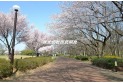 【公園】東村山中央公園　約400m