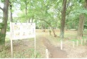 【公園】南町公園　約230m