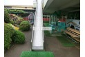 【幼稚園・保育園】小平みどり幼稚園　約800m