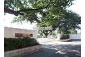 【小学校】八坂小学校　約270m