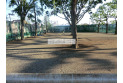 【公園】仲町第2公園　約590m