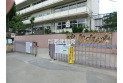 【小学校】谷戸第二小学校　約900m