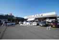【その他販売店】角上魚類　約250m