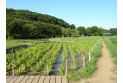 【公園】北山公園 約100m