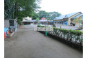 【幼稚園・保育園】小平神明幼稚園　約1,150m