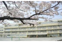【小学校】第二小学校　約1,200m