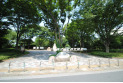 【公園】東村山中央公園　約210m