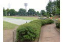 【公園】東村山運動公園　約850m