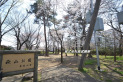【公園】萩山公園　約770m