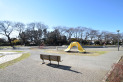 【公園】おおぞら公園　約220m
