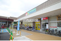 【ドラッグストア】ウェルパーク　約800m