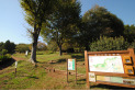 【公園】八国山緑地　約450m