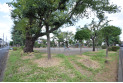 【公園】第一光が丘公園　約650m