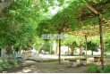【公園】八幡東公園　約50m