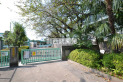 【小学校】鈴木小学校　約240m