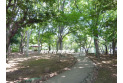 【公園】上仲原公園　約550m