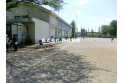 【小学校】第十五小学校　約560m