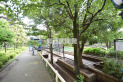 【公園】鈴木町親水公園　約1,100m