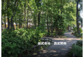 【公園】南台樹林公園　約130m