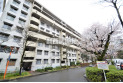 【外観】四季を感じる緑豊かなマンションです。