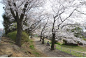 【公園】白山公園　約480m