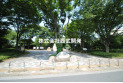 【公園】東村山中央公園　約220m