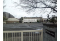 【小学校】第九小学校　約200m
