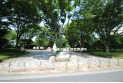 【公園】東村山中央公園　約450m