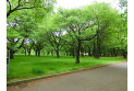 【公園】小金井公園　約850m
